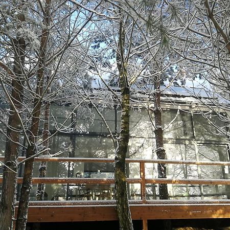 Luksusowy- Nowoczesny Dom W Lesie Villa Kowalewo Buitenkant foto