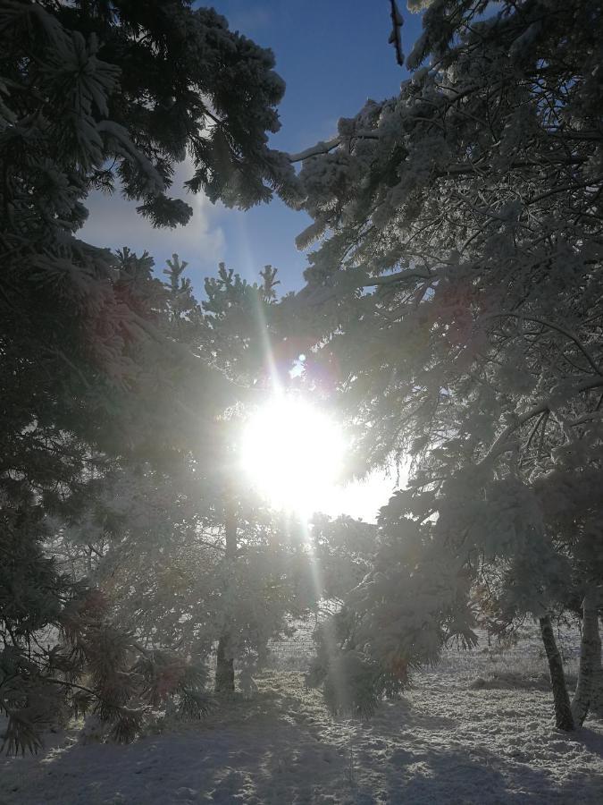 Luksusowy- Nowoczesny Dom W Lesie Villa Kowalewo Buitenkant foto