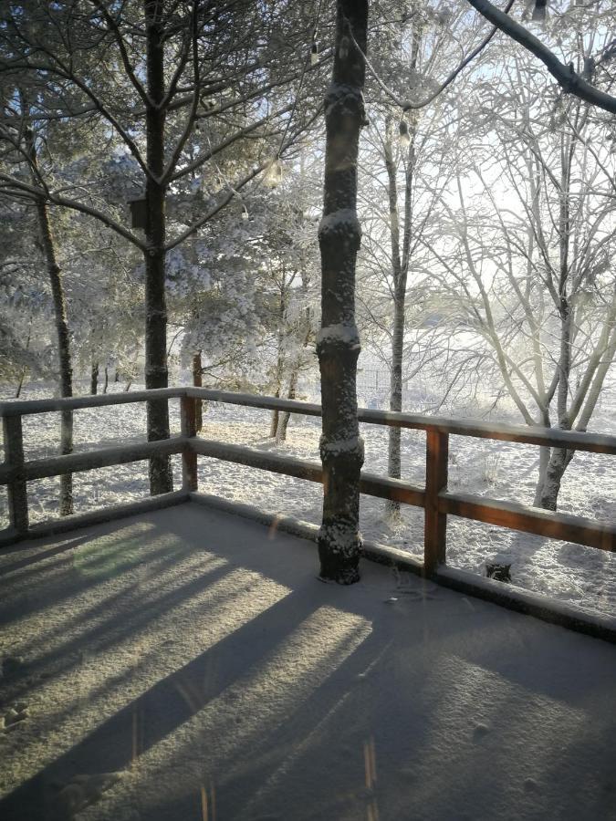Luksusowy- Nowoczesny Dom W Lesie Villa Kowalewo Buitenkant foto