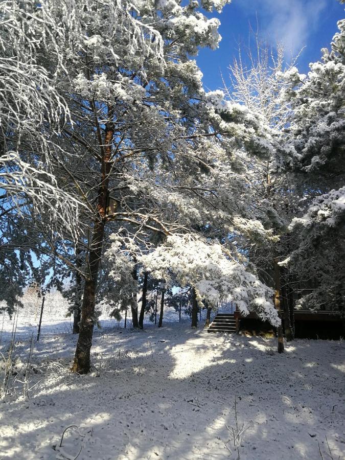 Luksusowy- Nowoczesny Dom W Lesie Villa Kowalewo Buitenkant foto