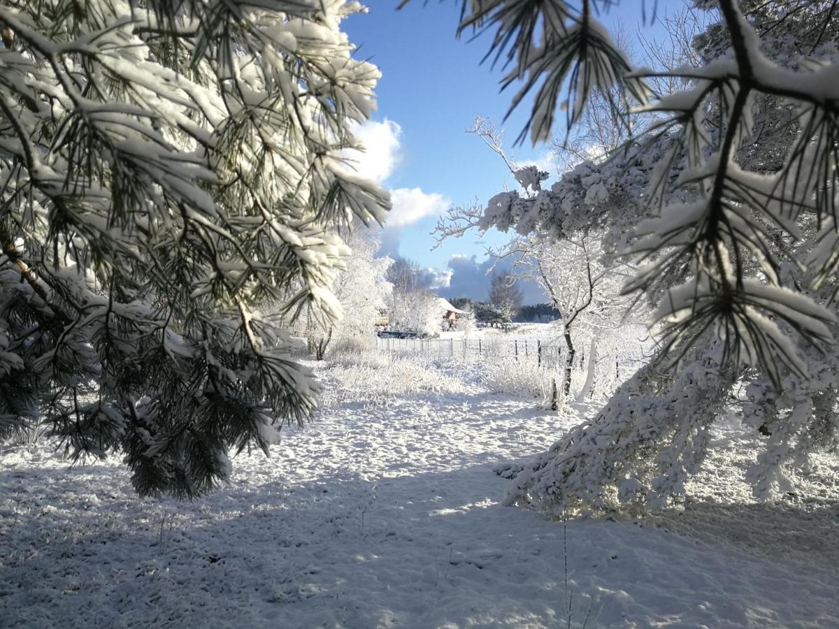 Luksusowy- Nowoczesny Dom W Lesie Villa Kowalewo Buitenkant foto