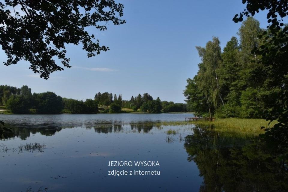 Luksusowy- Nowoczesny Dom W Lesie Villa Kowalewo Buitenkant foto
