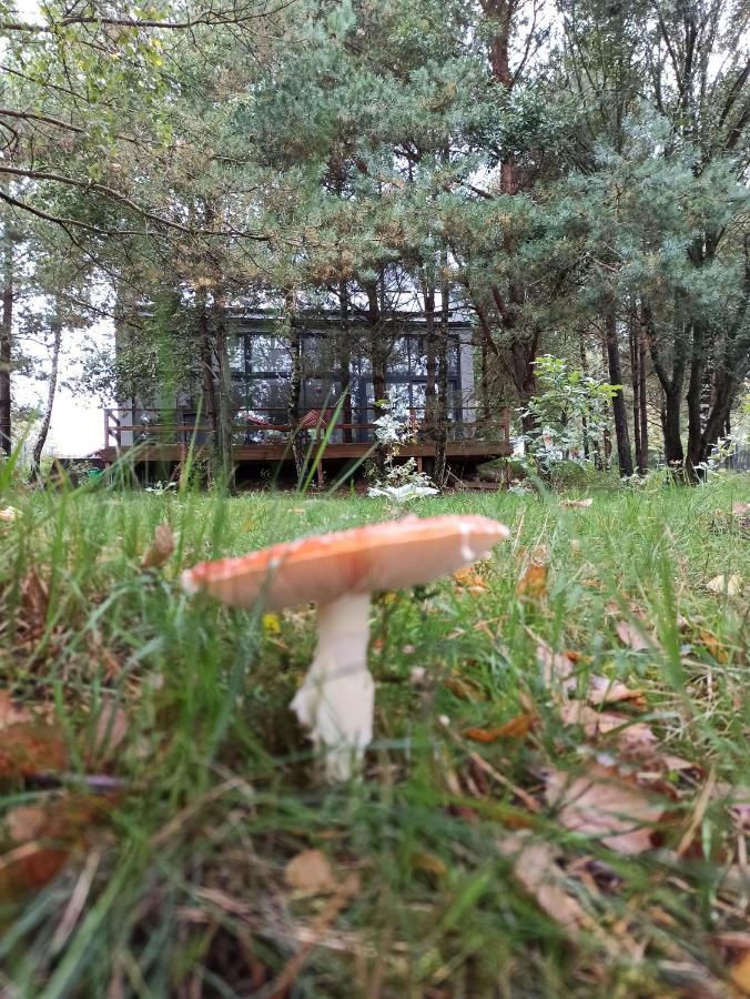 Luksusowy- Nowoczesny Dom W Lesie Villa Kowalewo Buitenkant foto
