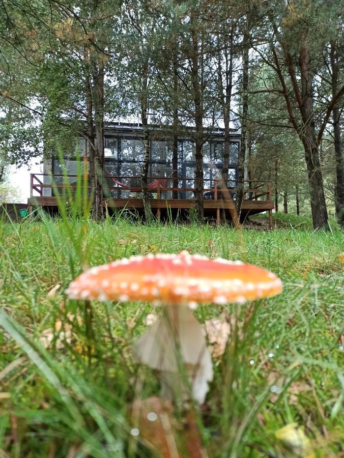 Luksusowy- Nowoczesny Dom W Lesie Villa Kowalewo Buitenkant foto